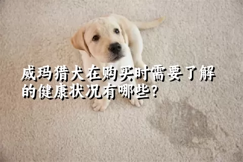 威玛猎犬在购买时需要了解的健康状况有哪些？