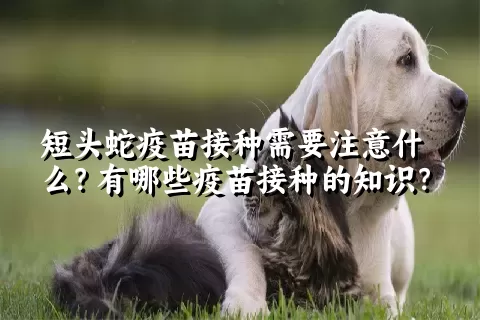 短头蛇疫苗接种需要注意什么？有哪些疫苗接种的知识？