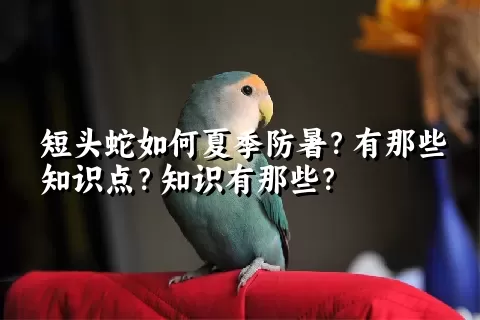 短头蛇如何夏季防暑？有那些知识点？知识有那些？