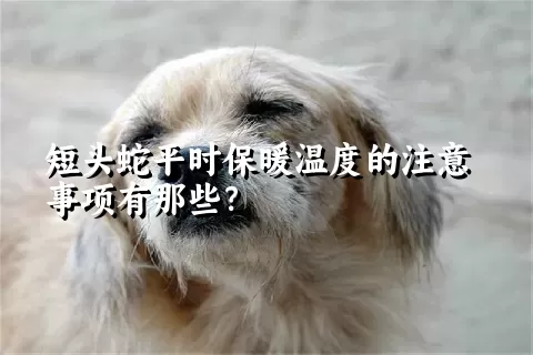 短头蛇平时保暖温度的注意事项有那些？ 