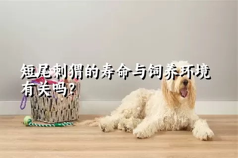 短尾刺猬的寿命与饲养环境有关吗？