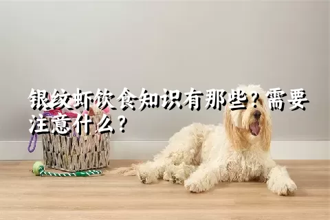 银纹虾饮食知识有那些？需要注意什么？