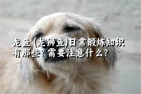 龙鱼 (龙狮鱼)日常锻炼知识有那些？需要注意什么？