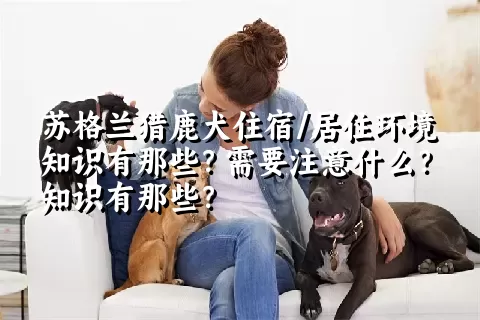 苏格兰猎鹿犬住宿/居住环境知识有那些？需要注意什么？知识有那些？