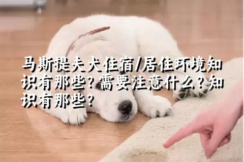 马斯提夫犬住宿/居住环境知识有那些？需要注意什么？知识有那些？