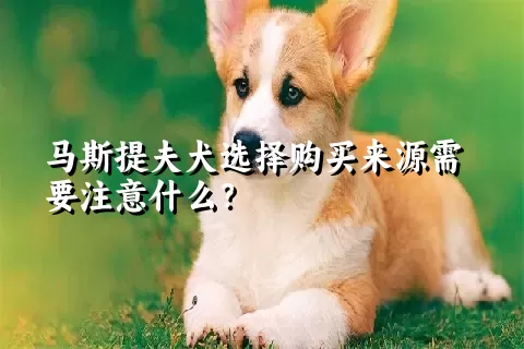 马斯提夫犬选择购买来源需要注意什么？ 