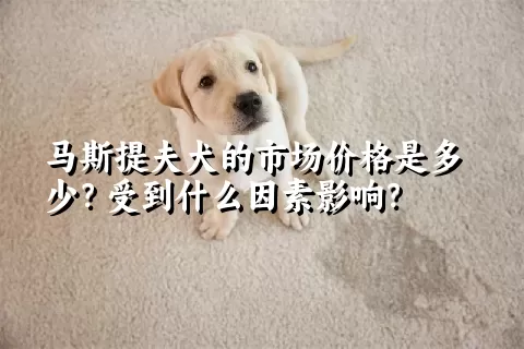 马斯提夫犬的市场价格是多少？受到什么因素影响？