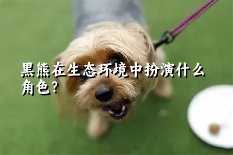 黑熊在生态环境中扮演什么角色？