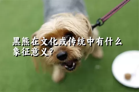 黑熊在文化或传统中有什么象征意义？