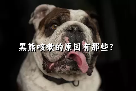 黑熊咳嗽的原因有那些？ 