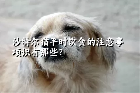 沙特尔猫平时饮食的注意事项识有那些？ 