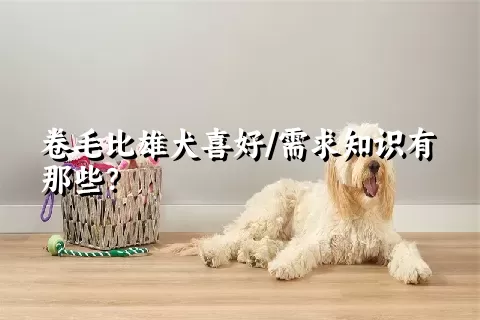 卷毛比雄犬喜好/需求知识有那些？