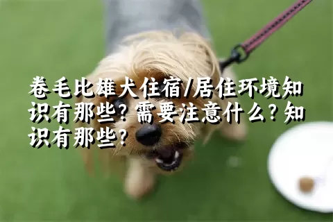 卷毛比雄犬住宿/居住环境知识有那些？需要注意什么？知识有那些？