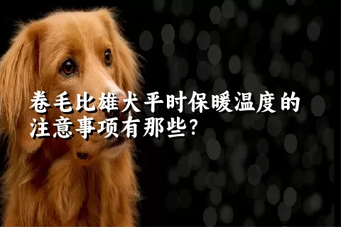 卷毛比雄犬平时保暖温度的注意事项有那些？ 