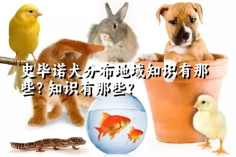 史毕诺犬分布地域知识有那些？知识有那些？