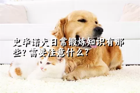 史毕诺犬日常锻炼知识有那些？需要注意什么？