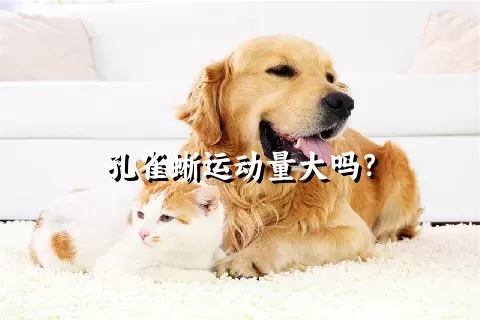 孔雀蜥运动量大吗？