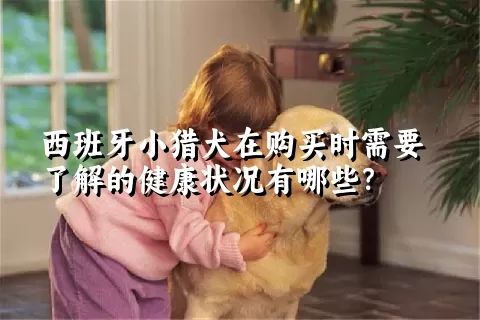 西班牙小猎犬在购买时需要了解的健康状况有哪些？