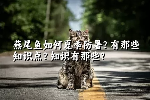 燕尾鱼如何夏季防暑？有那些知识点？知识有那些？