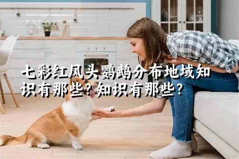 七彩红凤头鹦鹉分布地域知识有那些？知识有那些？