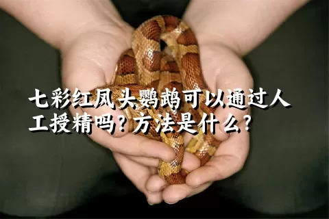 七彩红凤头鹦鹉可以通过人工授精吗？方法是什么？