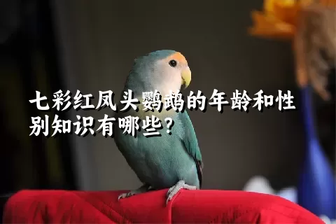 七彩红凤头鹦鹉的年龄和性别知识有哪些？