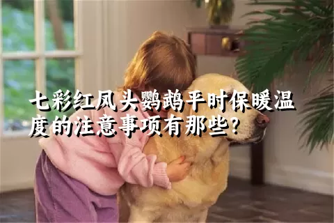 七彩红凤头鹦鹉平时保暖温度的注意事项有那些？ 