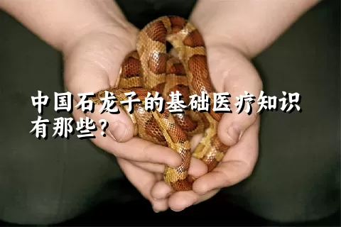 中国石龙子的基础医疗知识有那些？