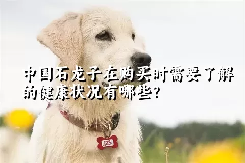 中国石龙子在购买时需要了解的健康状况有哪些？